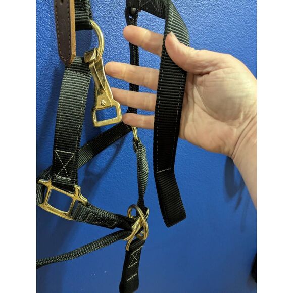 Safety Horse Halter (Missing Strap) - Picture 4 of 4